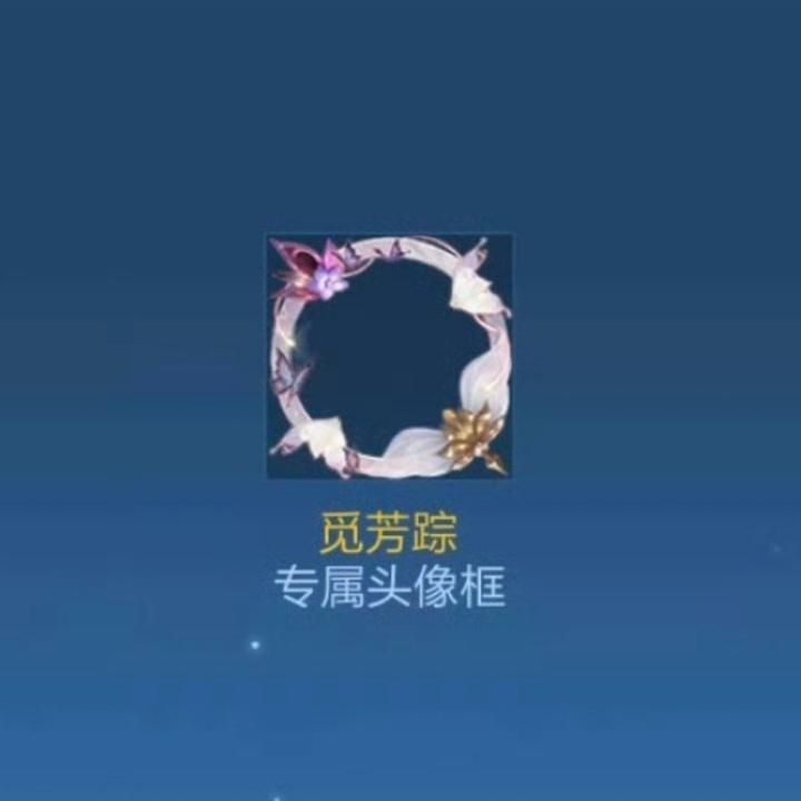 体验服惊现bug新皮肤觅芳踪头像框曝光或是艾琳贵族限定皮肤