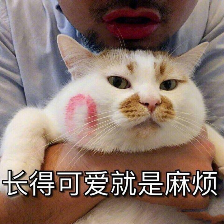 有没有适合客服的表情包? - 知乎