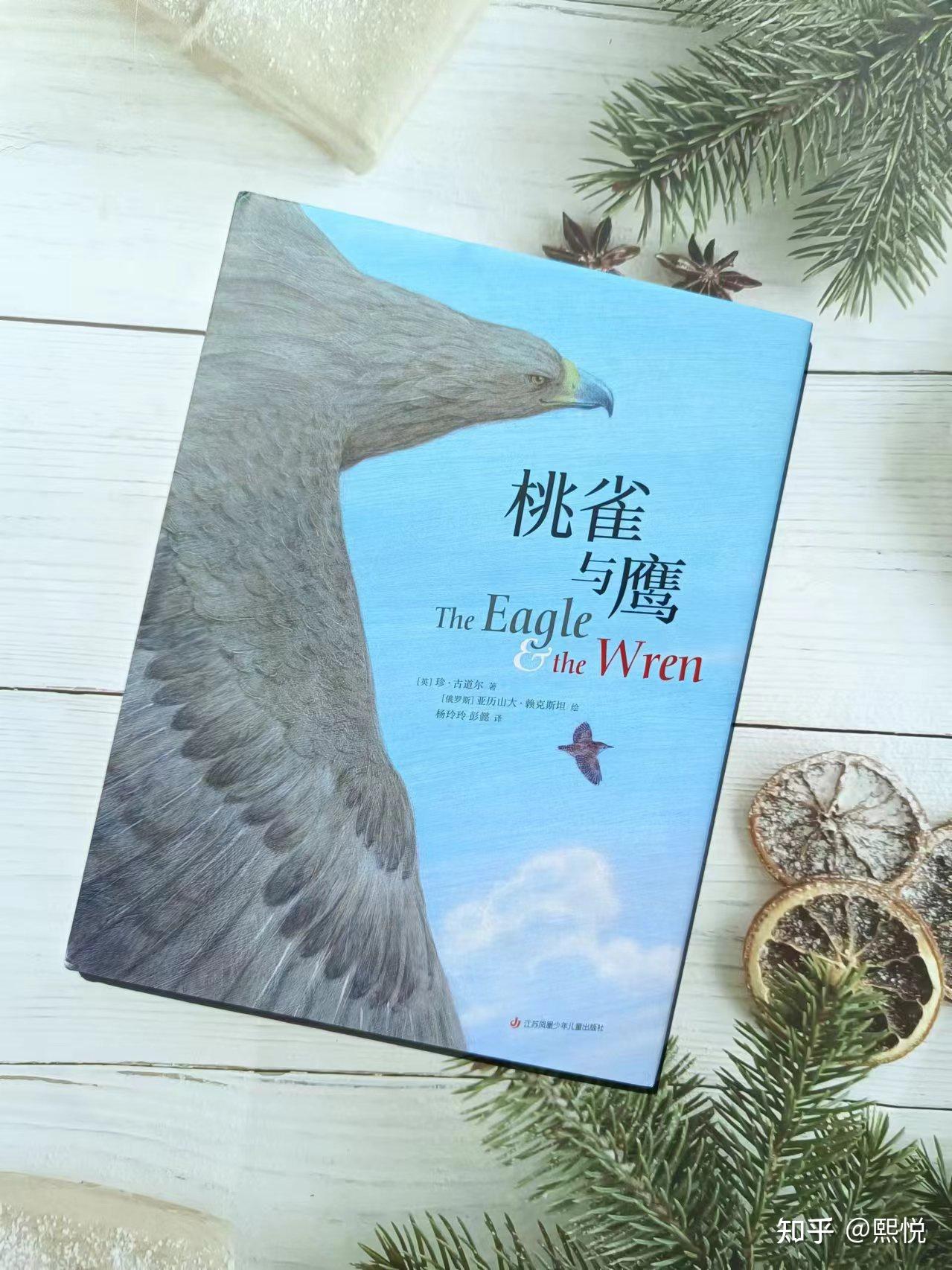 《桃雀与鹰》我可以飞的更高 - 知乎
