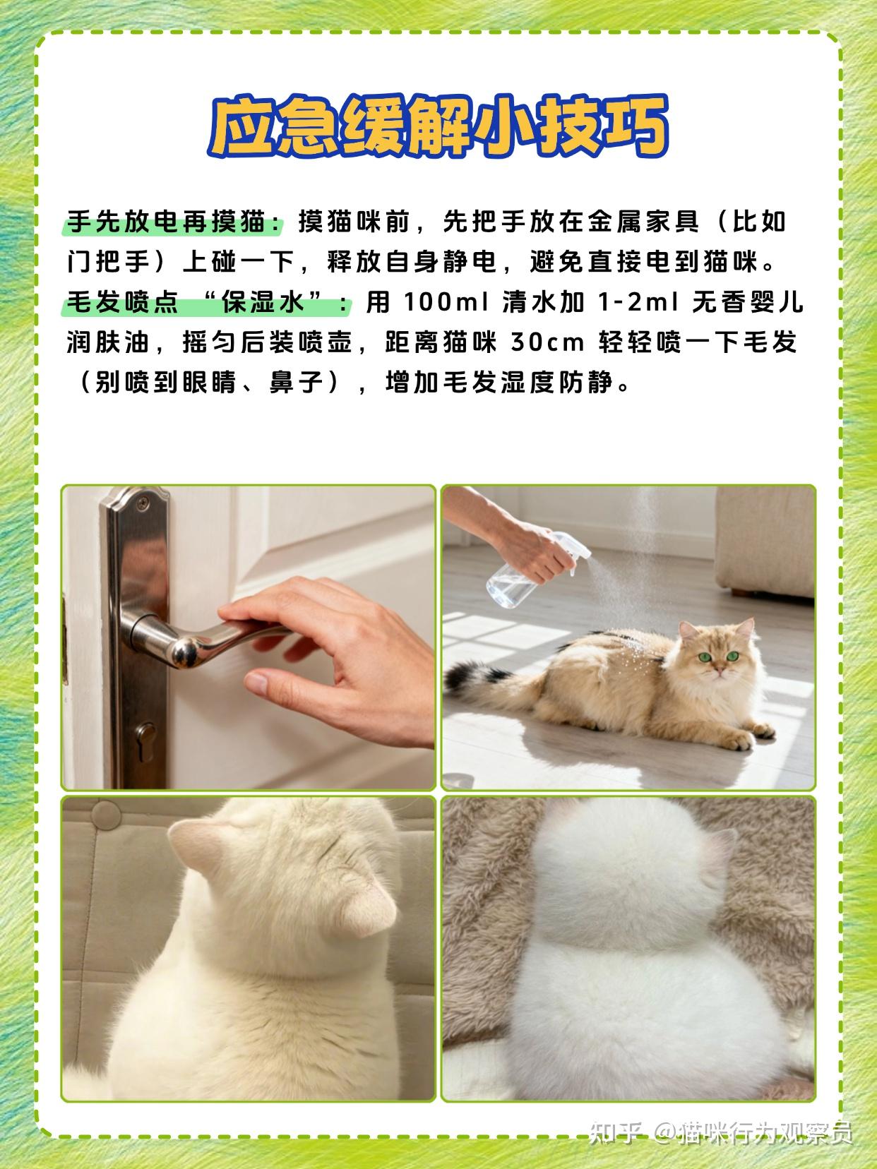 冬天了,把你自己收拾好了再摸猫猫⚡冬天防静电小妙招 - 知乎