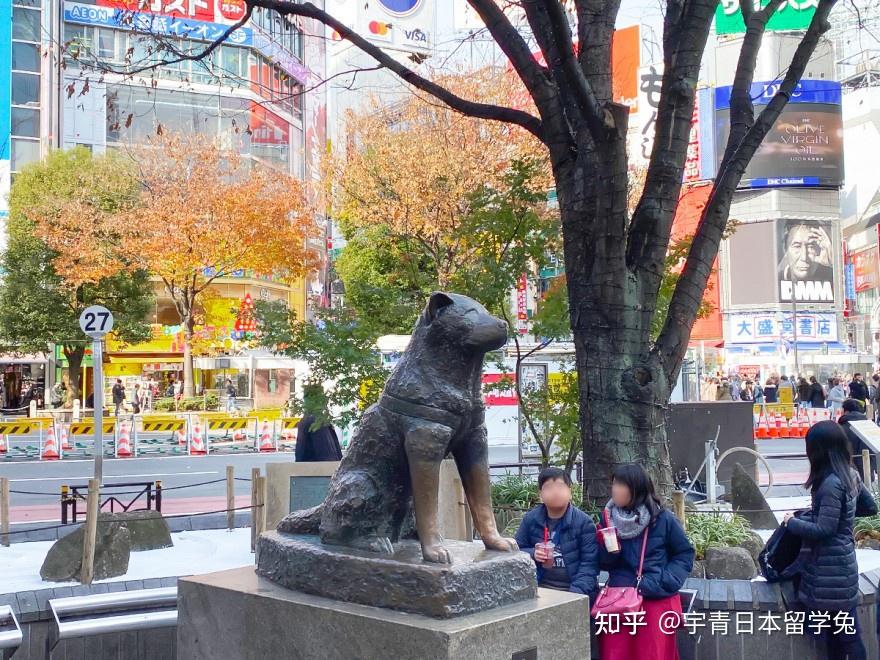 在日本东京涉谷区的“忠犬八公像”为什么建立了呢? - 知乎