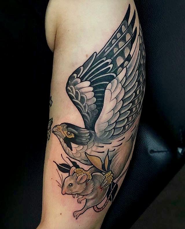 你们认为白凖,海东青这个素材如何,成熟的作品都有哪些. - 知乎