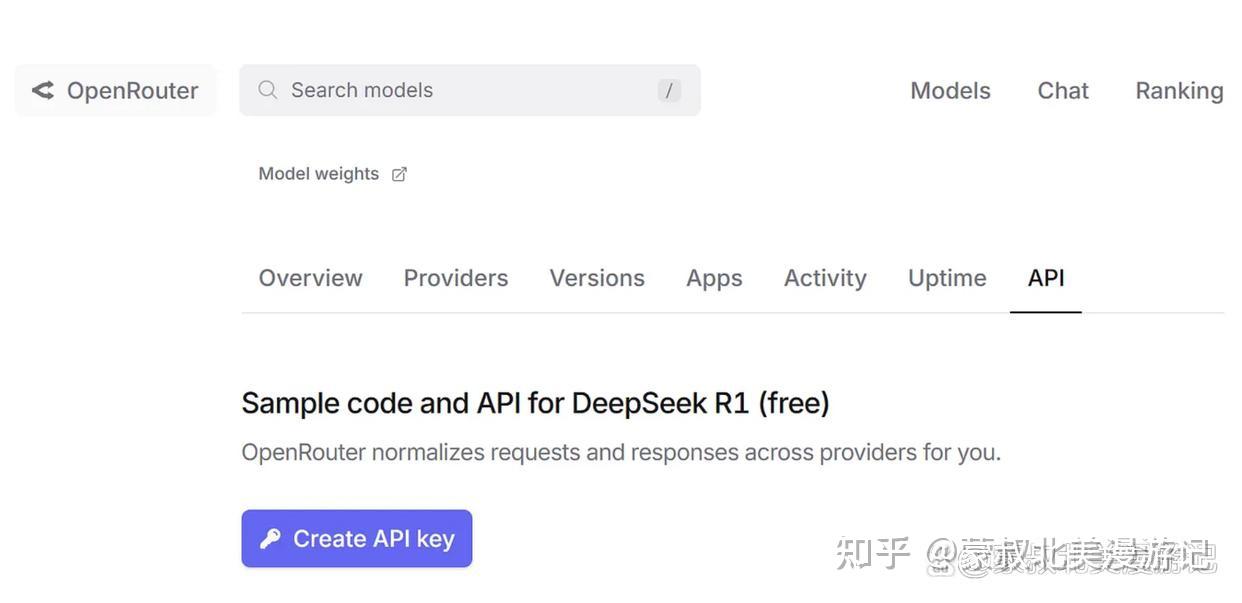 DeepSeek API Key DeepSeek API Key