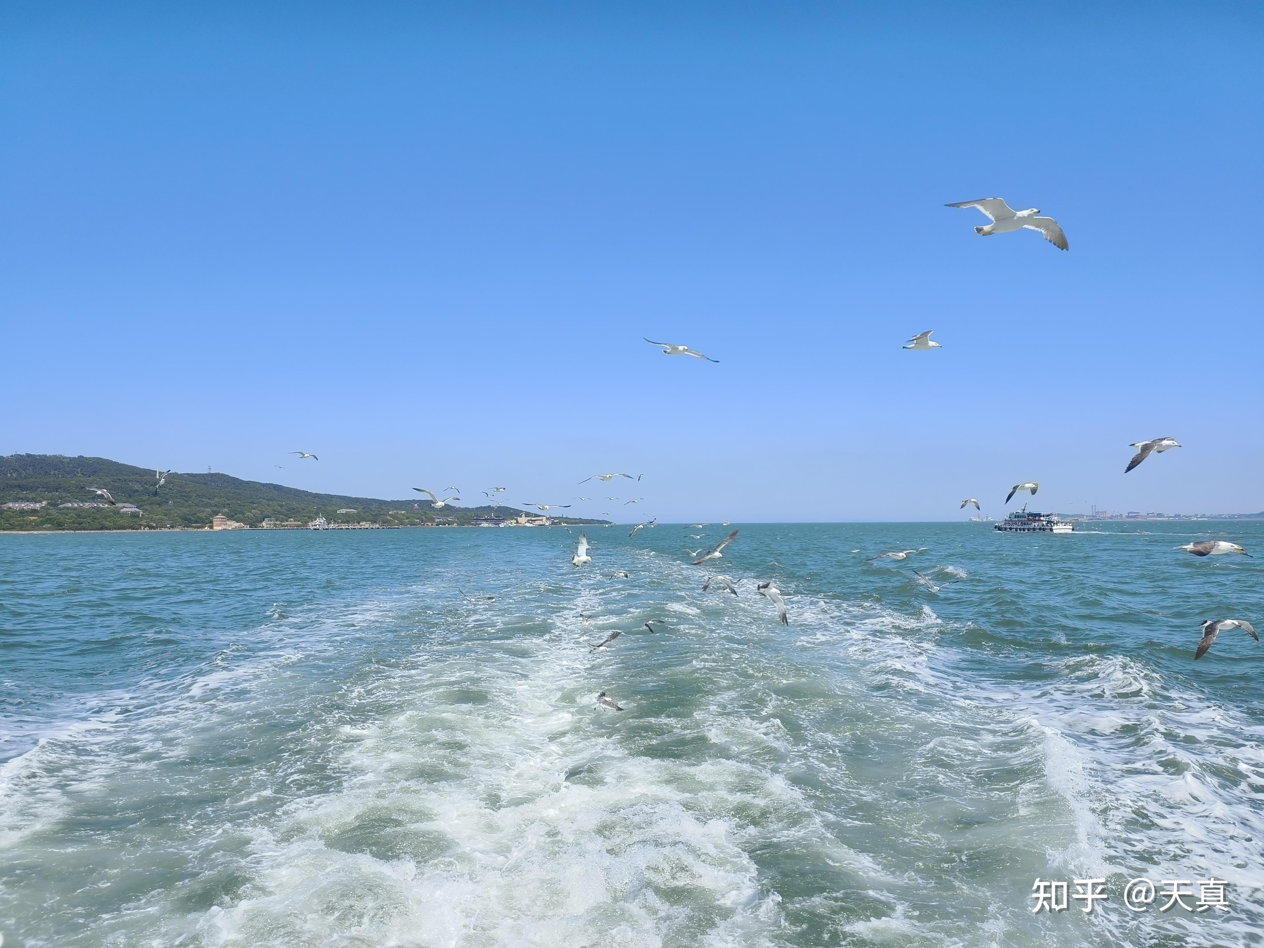 “海之魅力：探索大海的无尽美景” - 知乎
