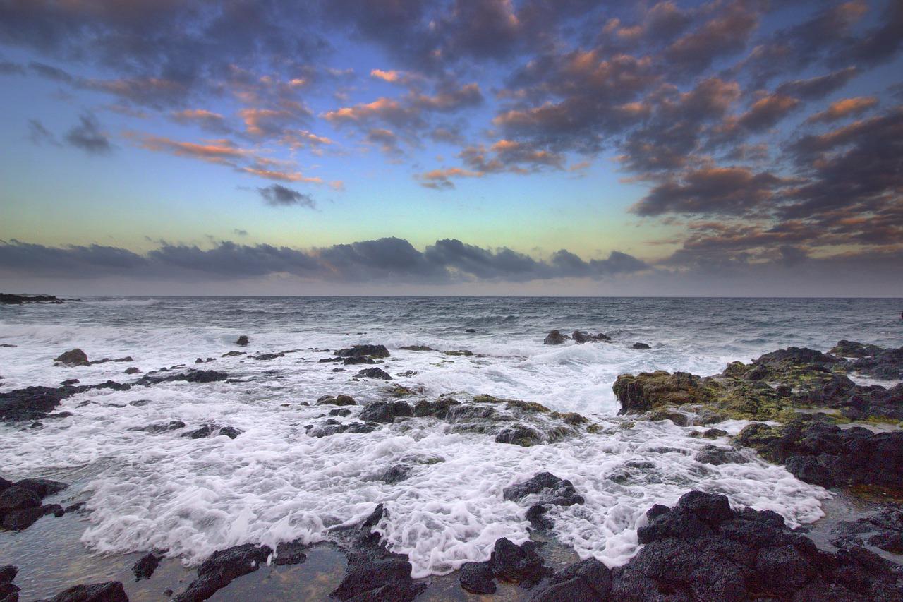 1. 夏威夷花园位置