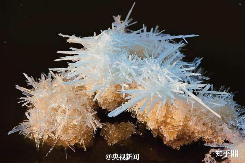 厕所为什么出硝石