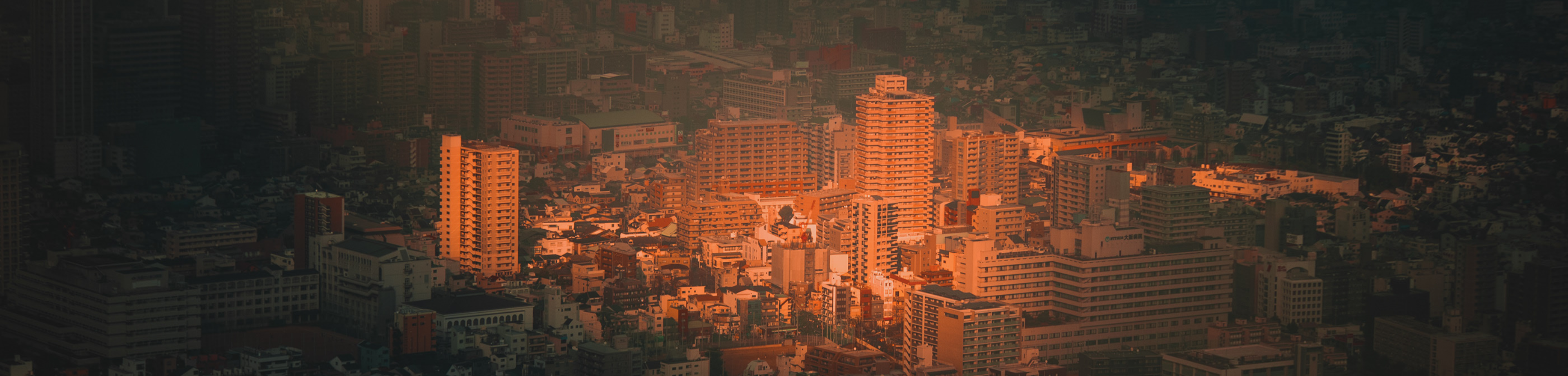 Zhihu banner for @sanctity
