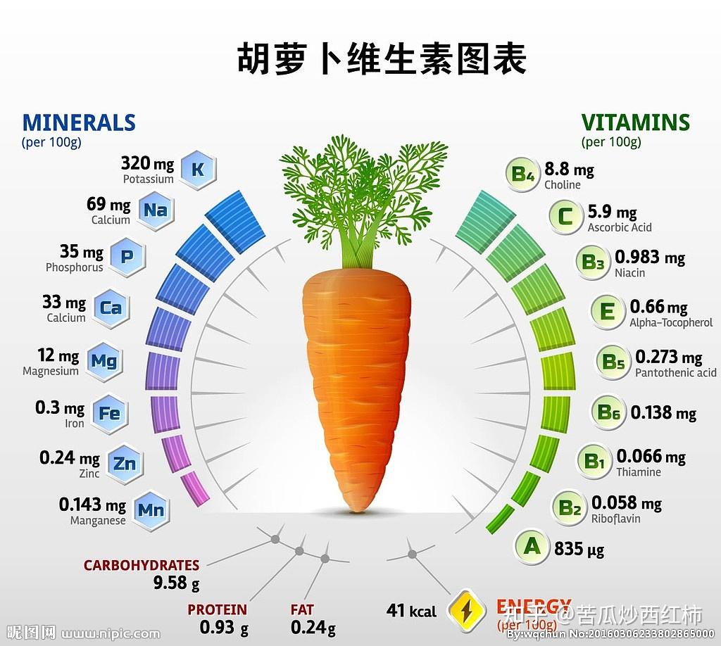 红萝卜有哪些营养价值?