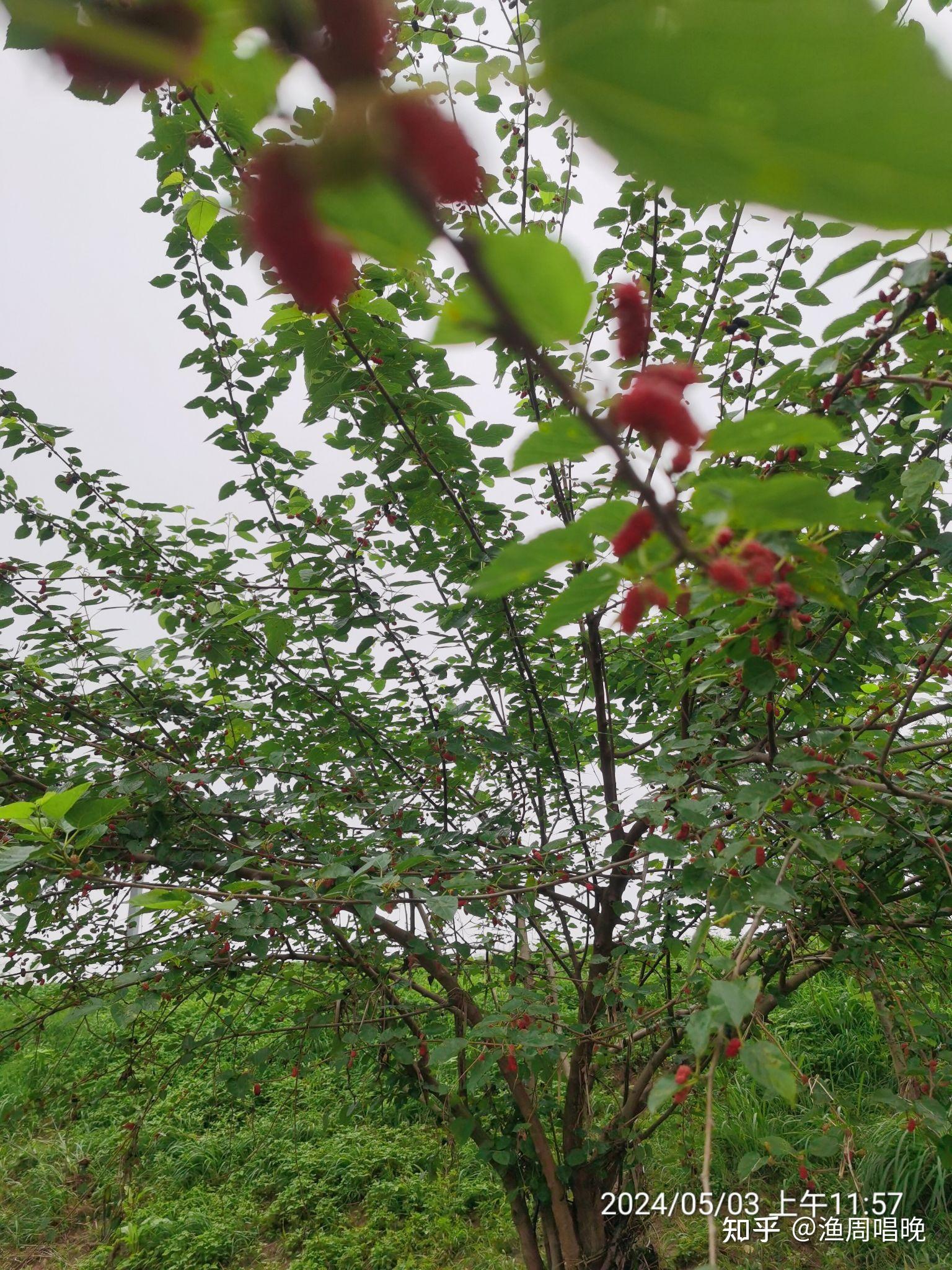 副处级干部和大学教师在社会上啥地位啊?
