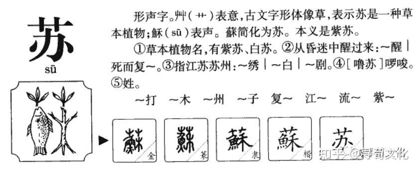 苏姓有让你惊艳的名字吗   ?