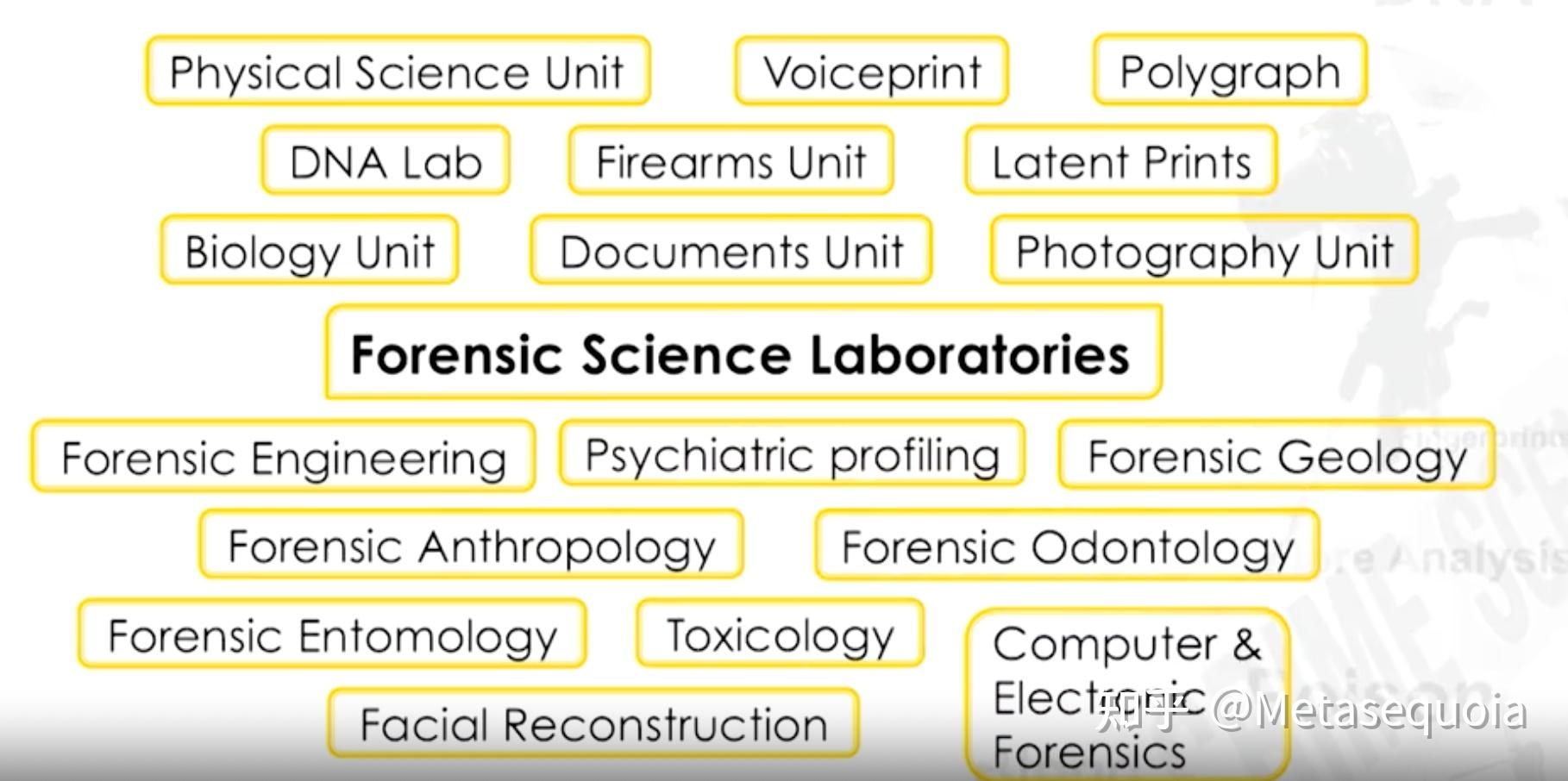 南洋理工法医学/法庭科学（forensic science）课程笔记（一） - 知乎