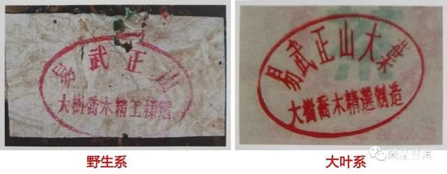 99绿大树蓝黑票、紫红票、红票,该怎么区分?为你详细解析3个版本的辨识点! - 知乎