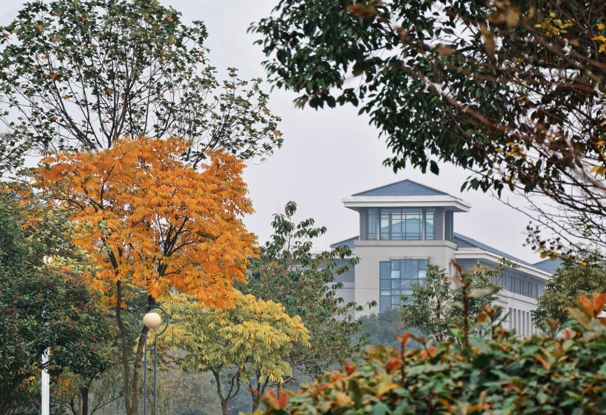 东南大学九龙湖校区是不是全国最难看的新校区