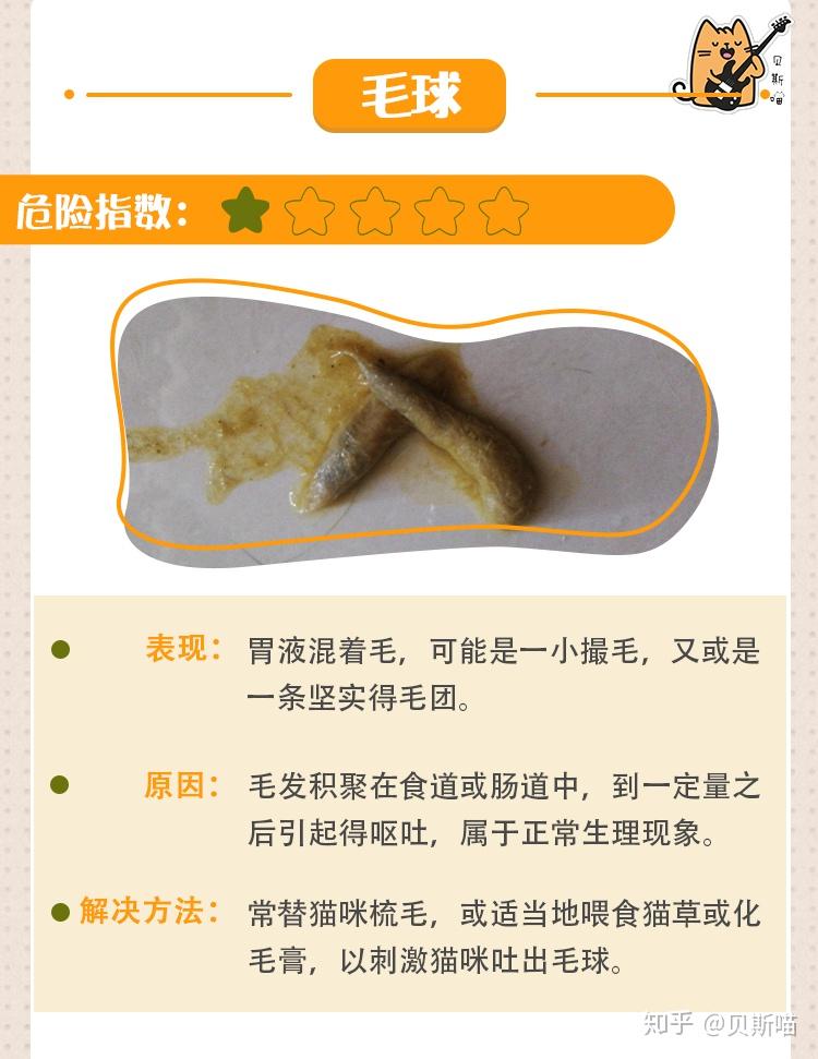 猫猫吐吐 猫猫吐吐