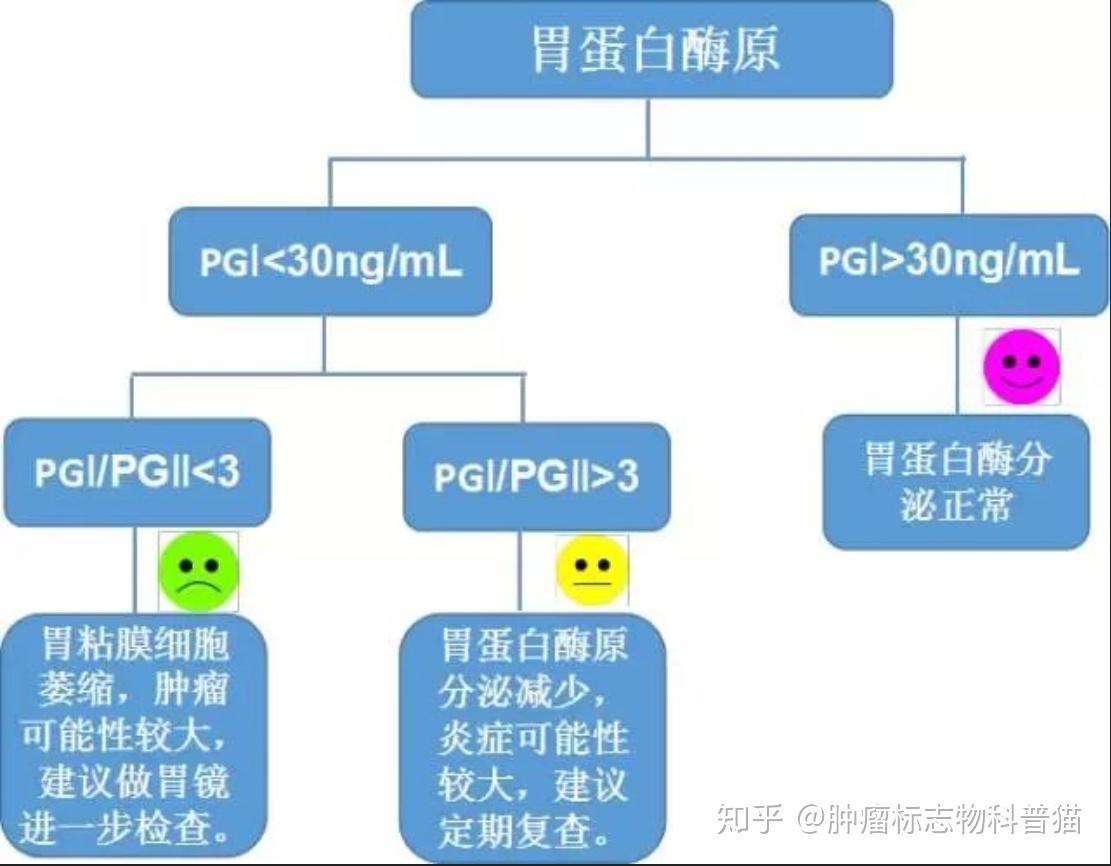 Pgi 肿瘤标志物科普系列--PGI/PGII(胃蛋白酶原I+II) - 知乎