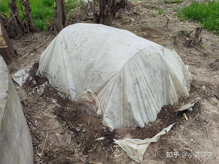 人，可以废物到什么程度？