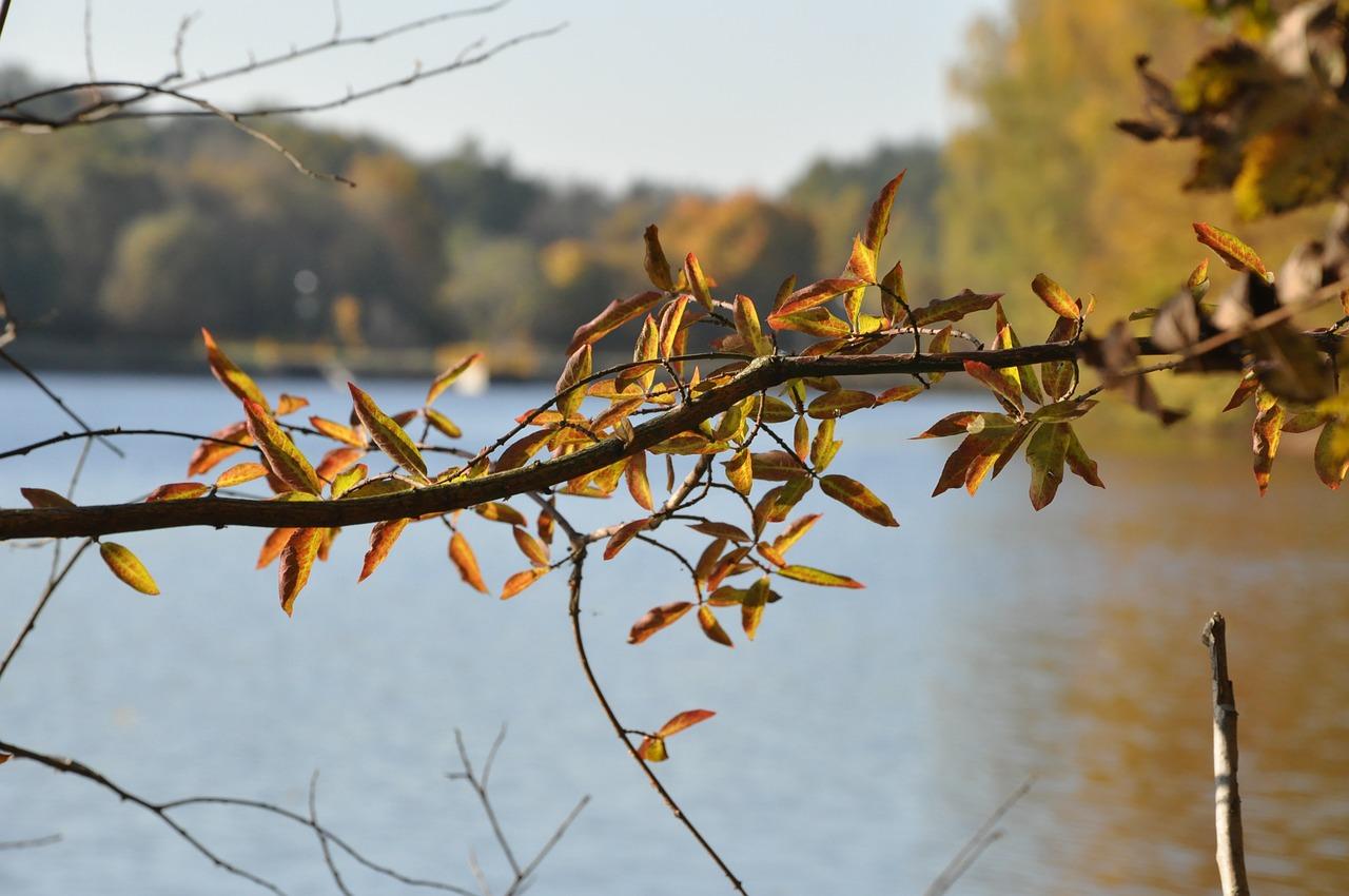 4. 修剪过重部分