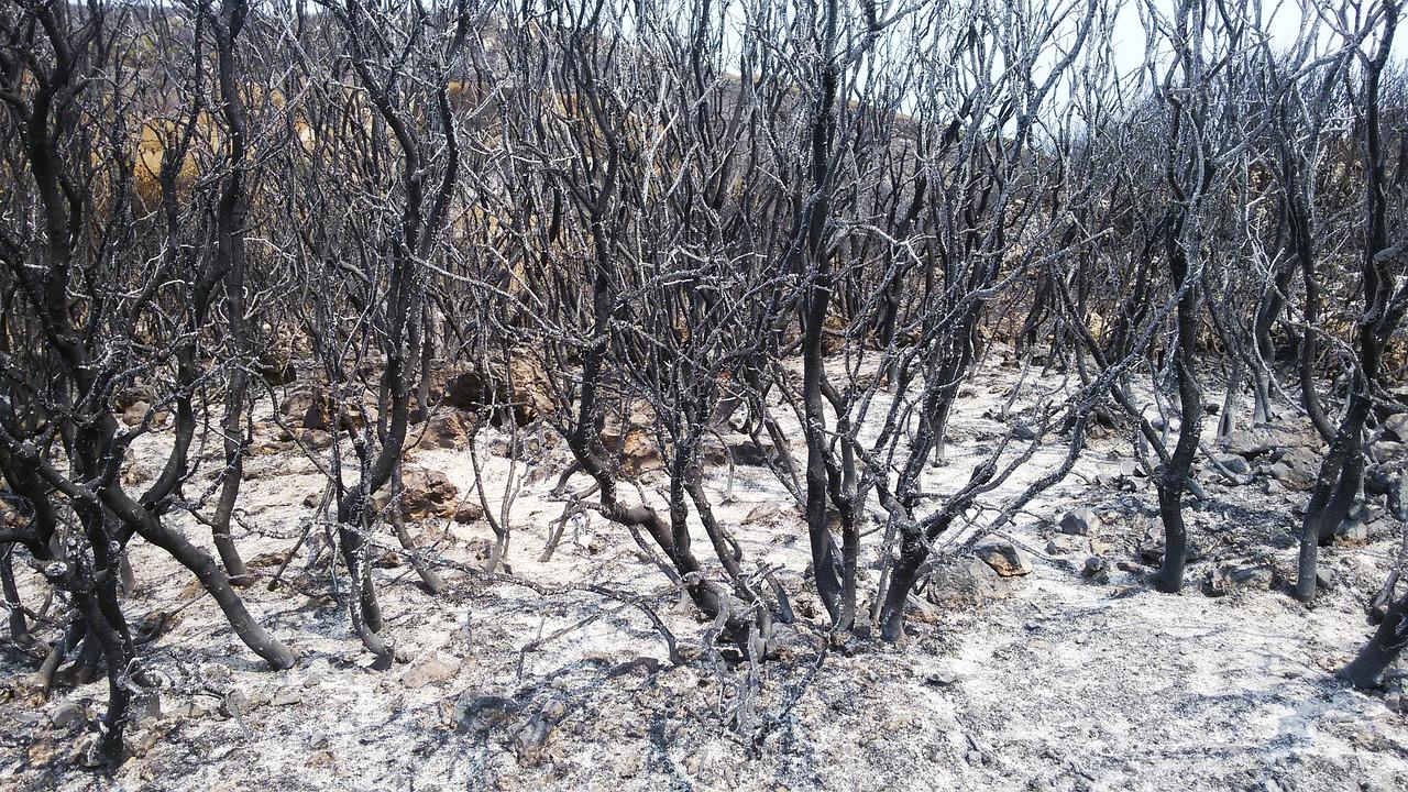 2. 伤口清洁消毒