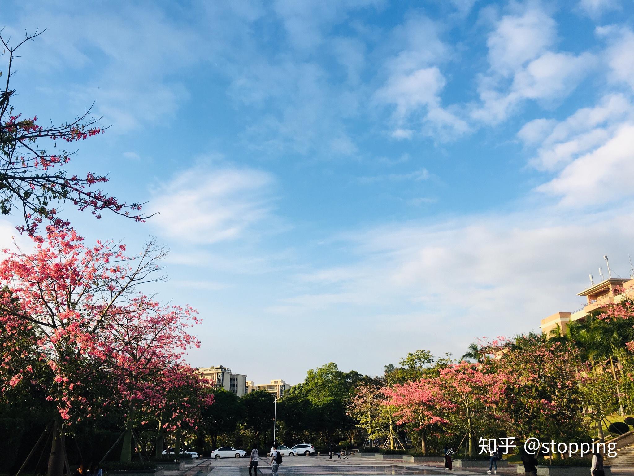 电子科技大学中山学院怎么样(电子科技大学中山学院怎么样知乎)