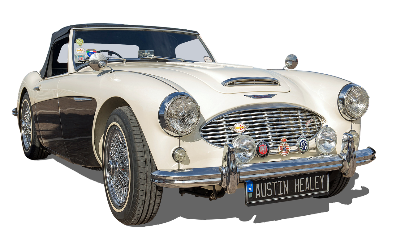 3. 奥斯汀玫瑰售价