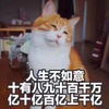陈半眠
