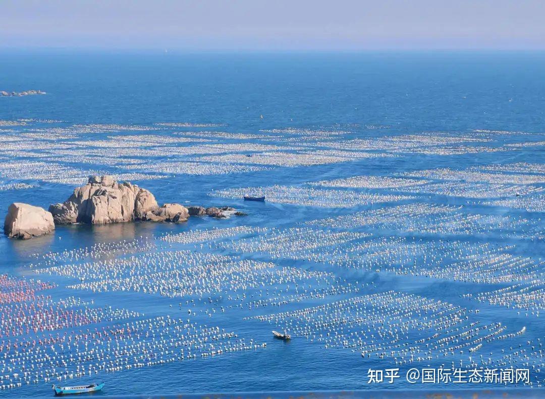 科技动态 全国首创海洋人工上升流技术在舟山海试 - 知乎