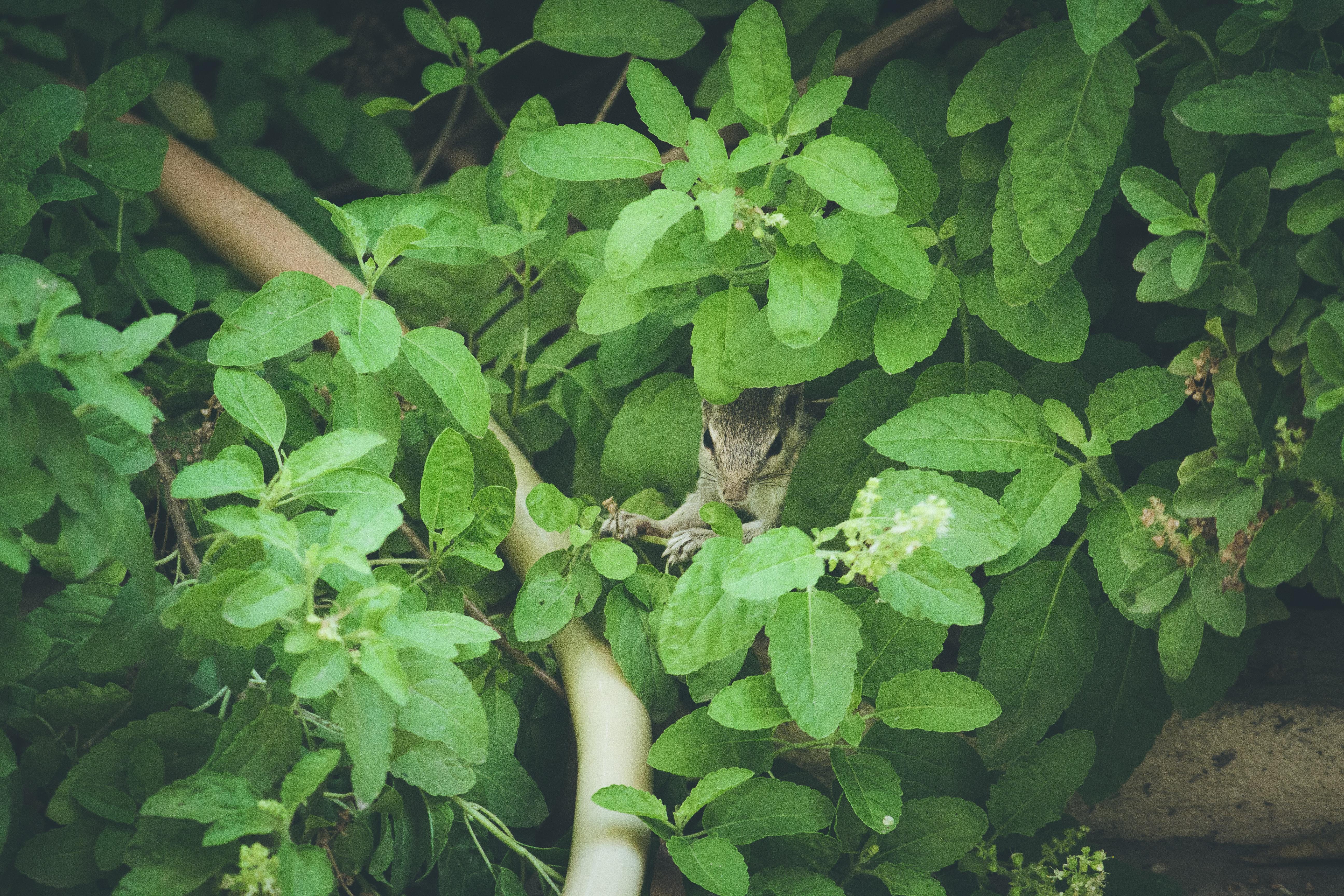 有什么壁纸能让ipad横屏和竖屏都合适
