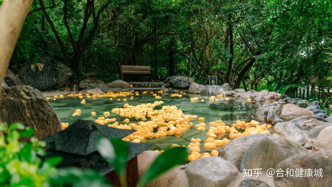 马上要去云南玩,有哪些露天的温泉值得推荐? - 知乎