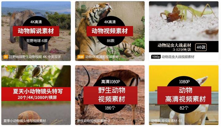 动物解说视频素材哪里找?推荐几个热门动物视频素材资源网站 - 知乎