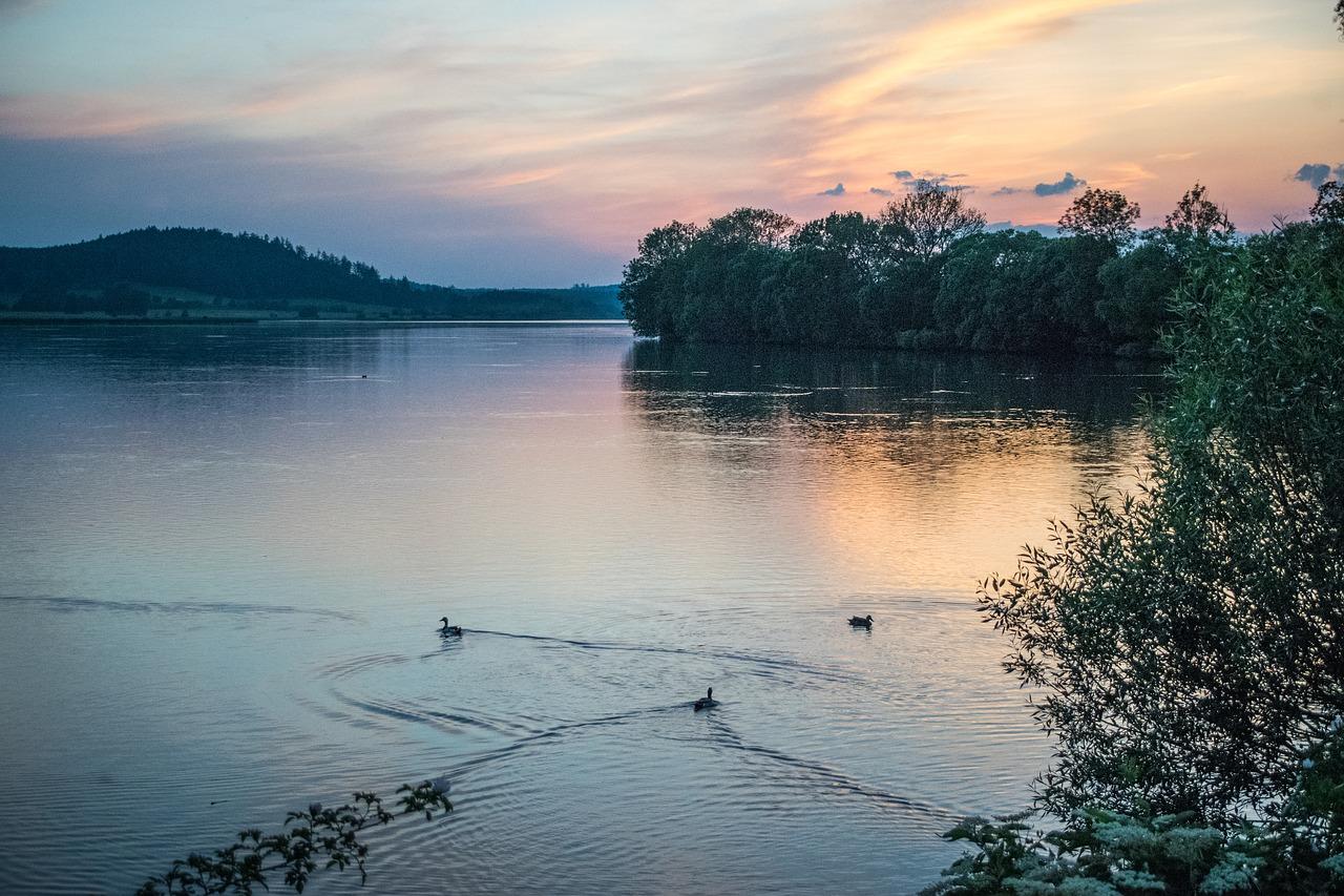 水位开关在什么位置