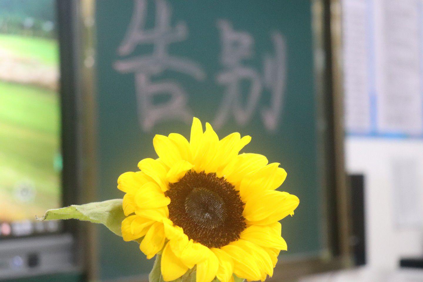 汕头黄冈实验学校怎么样? - 知乎
