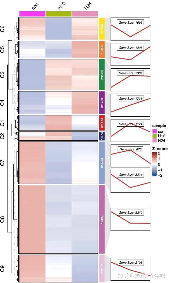 Mfuzz/ClusterGVis包时间(规律变化数据即可)序列分析学习和整理 - 知乎