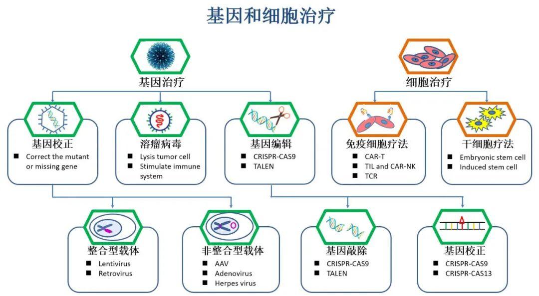 遗传病筛查：守护未来的每一份希望