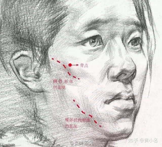 素描头像面部结构怎么画