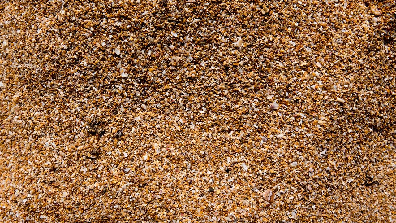 2. 粗细沙粒触感辨