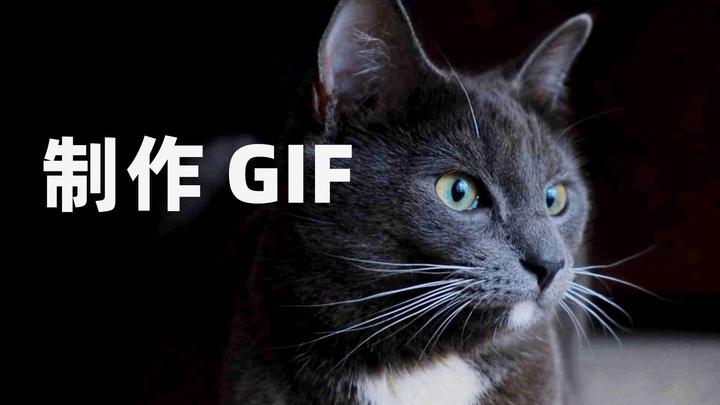 如何制作gif动态表情包?花1分钟学会2种方法! - 知乎