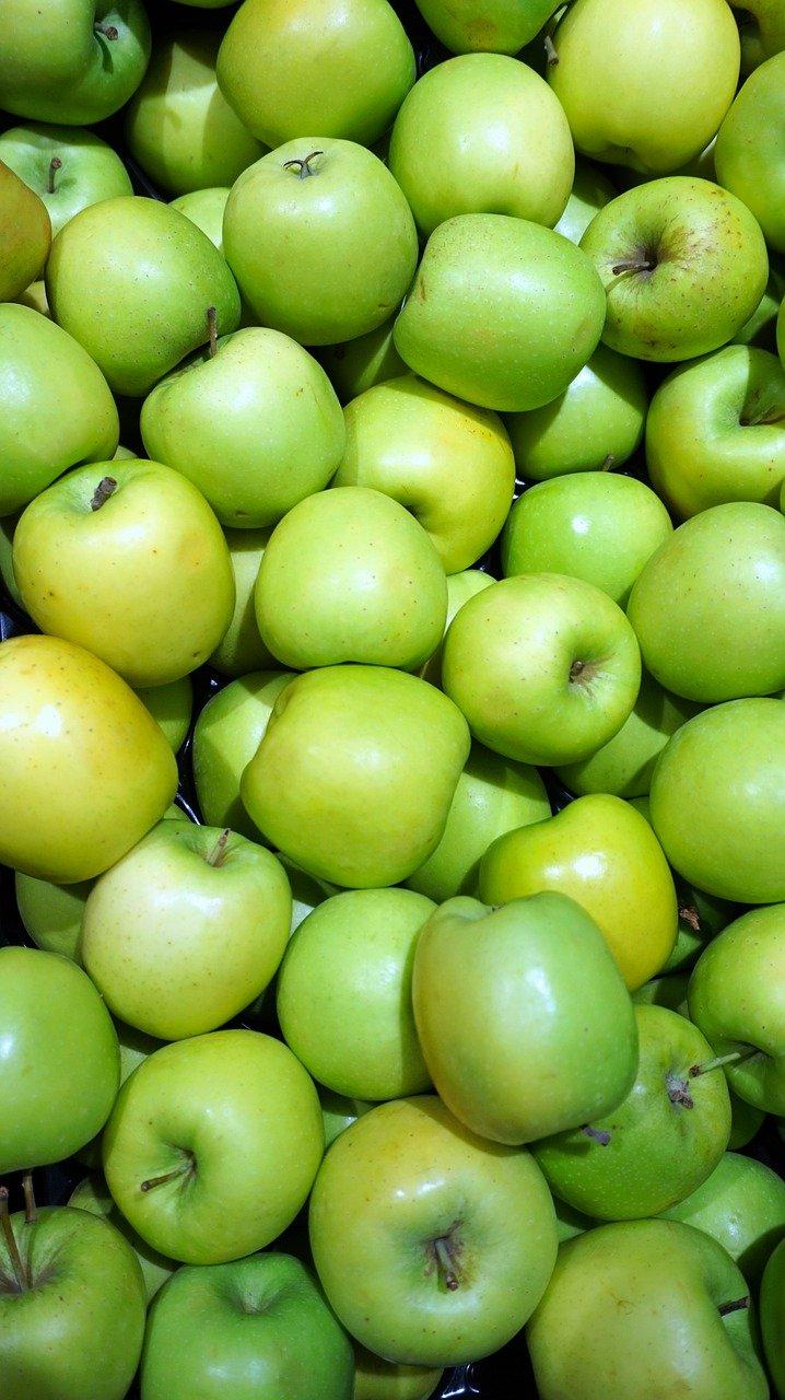 长枣多少钱一斤