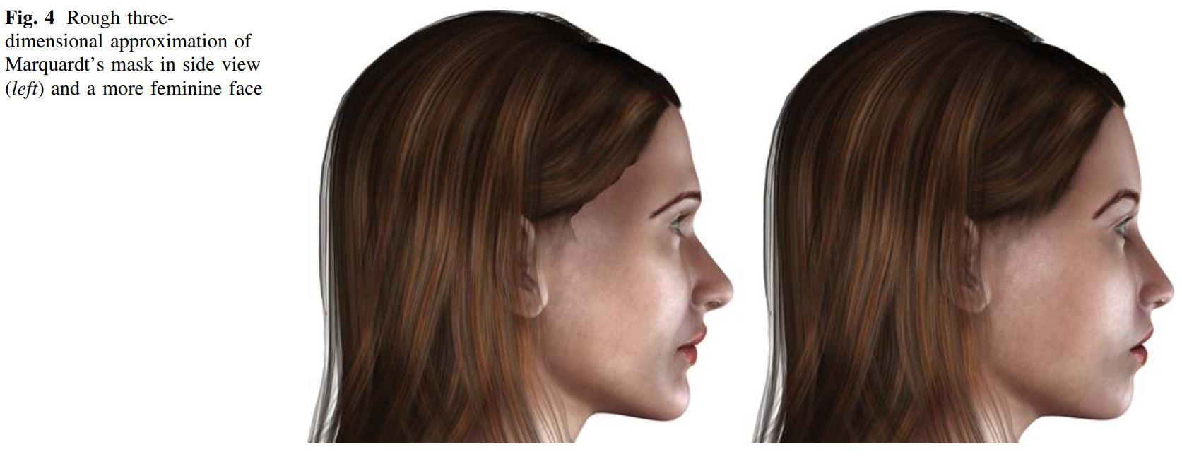 马夸特面具论就没有反对的? - 知乎