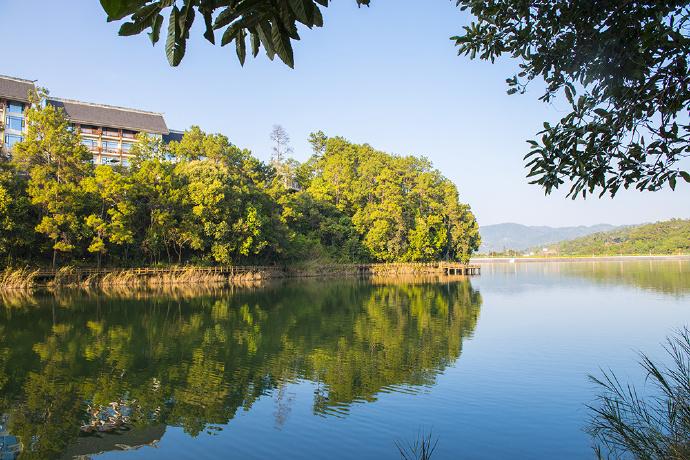 秀云南看完普洱梅子湖公园简介惊叹普洱竟会藏着这样一处人间仙境