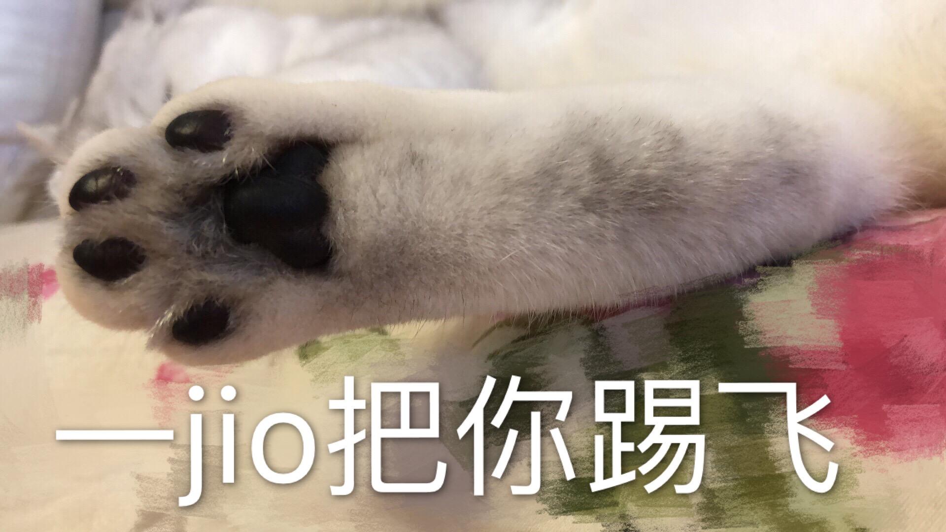 有哪些沙雕表情包