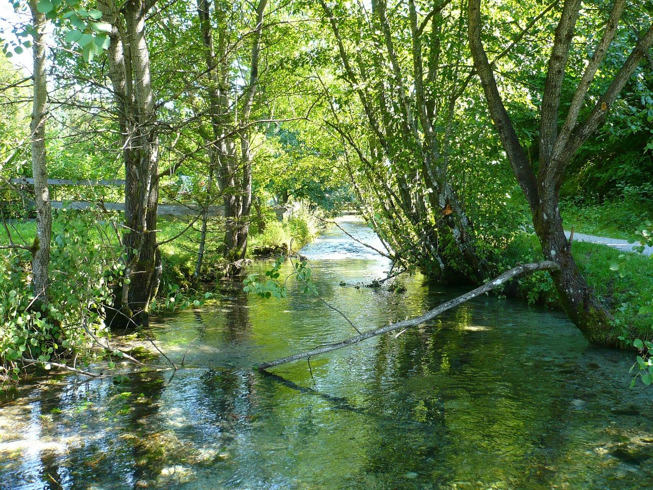 4. 植物选择指南