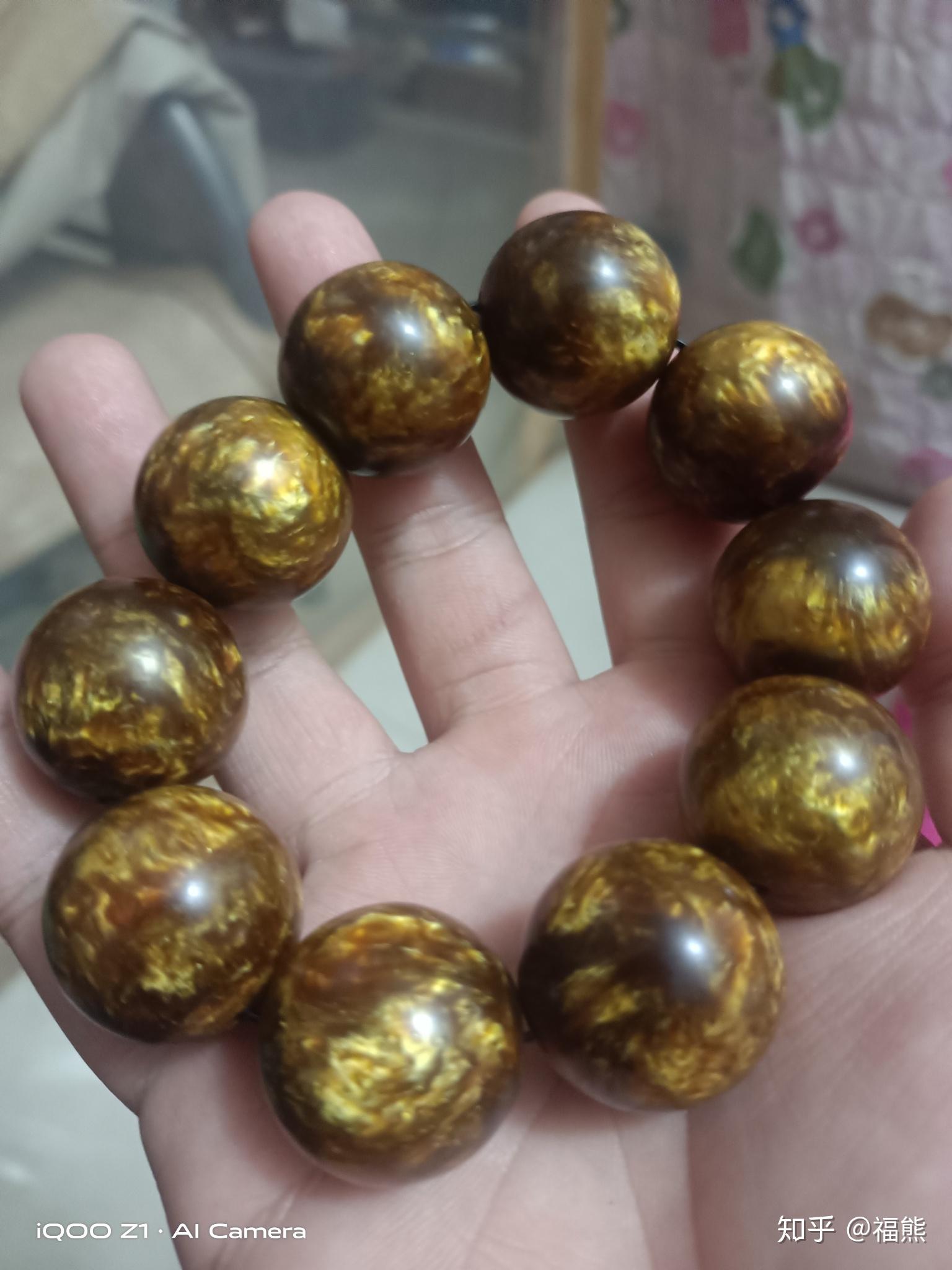 怎么区分真假海柳