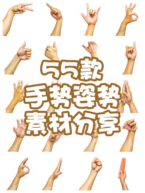 素材分享丨真实人物手部动作手势姿势指头透明免抠PNG图片美工PS设计素材 - 知乎