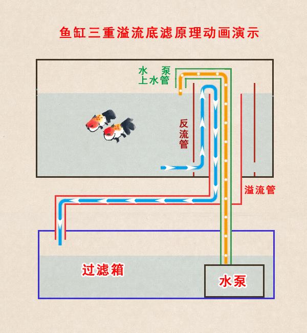 底滤鱼缸原理图图片