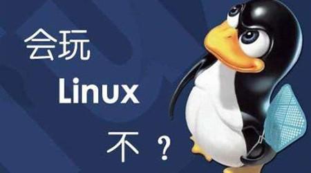 Pts linux что это