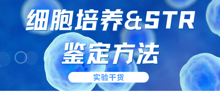 一文了解细胞培养&STR鉴定方法 - 知乎