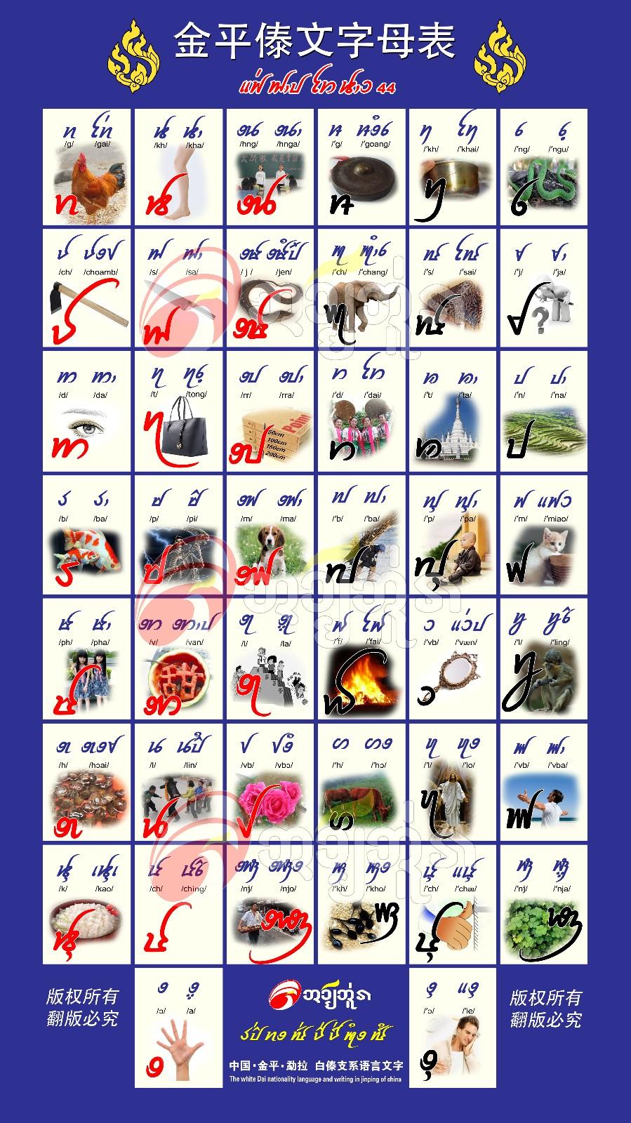 东南亚各国的语言有文字吗?