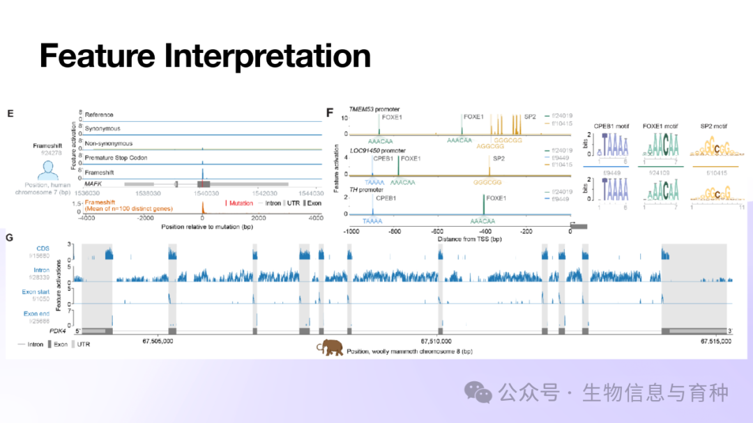 《Evo2: 生命科学基础大模型》报告PPT - 知乎