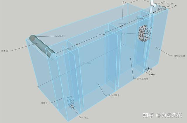 怎么自己动手制作生态鱼缸? - 知乎