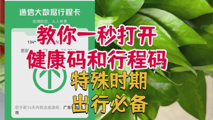 教你一秒快速打开健康码和行程码,简单方便,特殊时期出行必备!